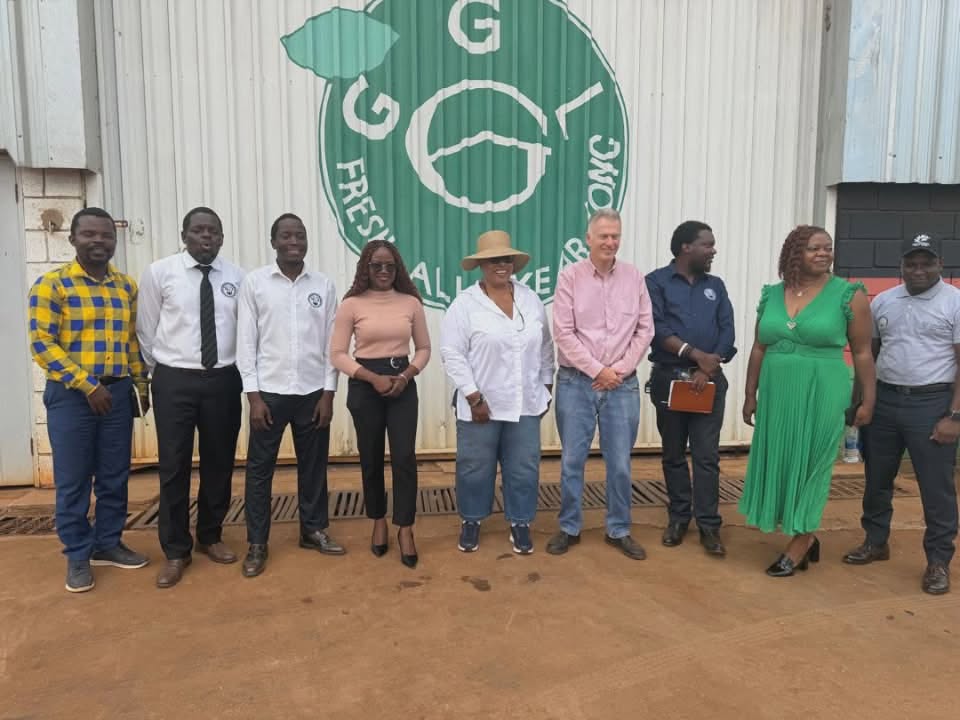 A learning visit to GGL Farm in Lumbadzi.